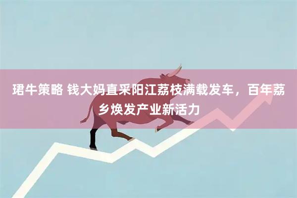 珺牛策略 钱大妈直采阳江荔枝满载发车，百年荔乡焕发产业新活力