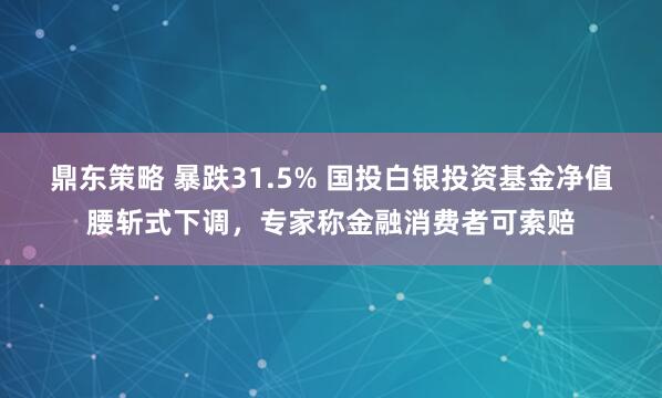 鼎东策略 暴跌31.5% 国投白银投资基金净值腰斩式下调，专家称金融消费者可索赔